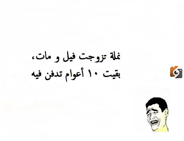 نكت سريعة ومضحكة جدا 8 نكت سريعة ومضحكة جدا