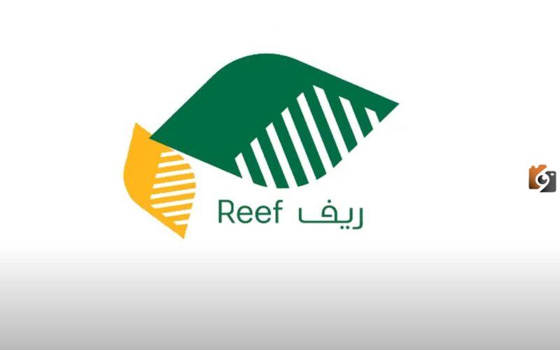 وزارة البيئة والمياه والزراعة توضح شروط دعم الريف