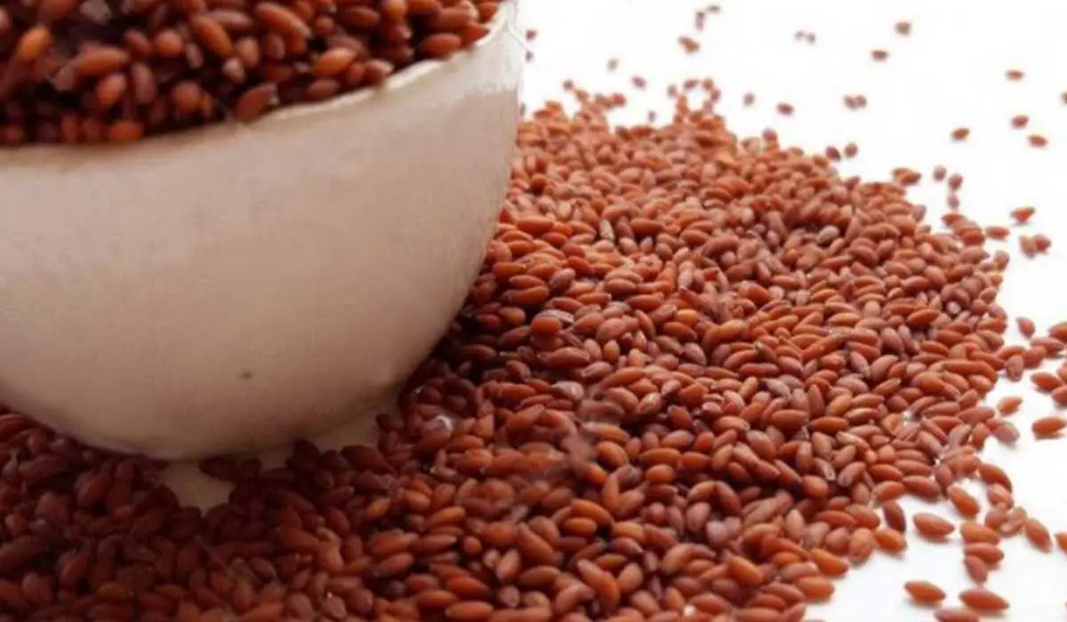 وصفات حب الرشاد للشعر