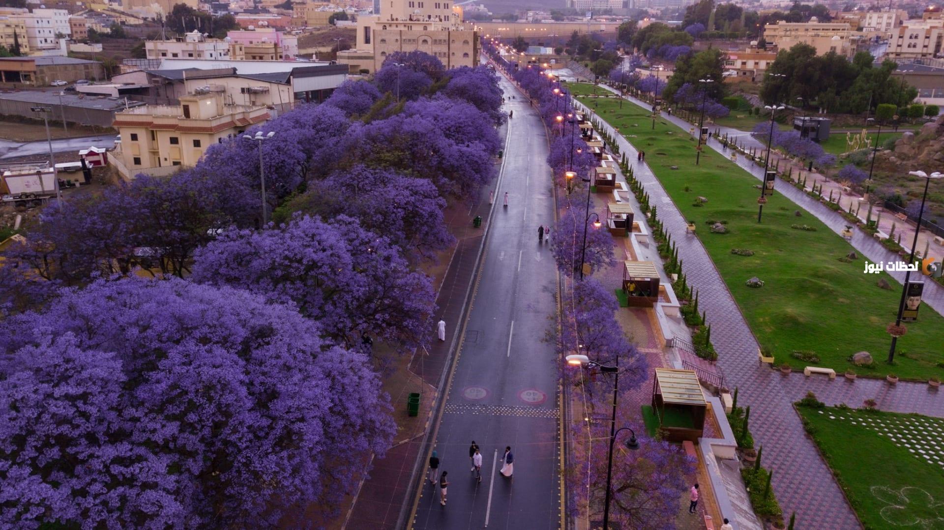 اوقات الصلاة في رمضان 2024 إمساكية رمضان أبها