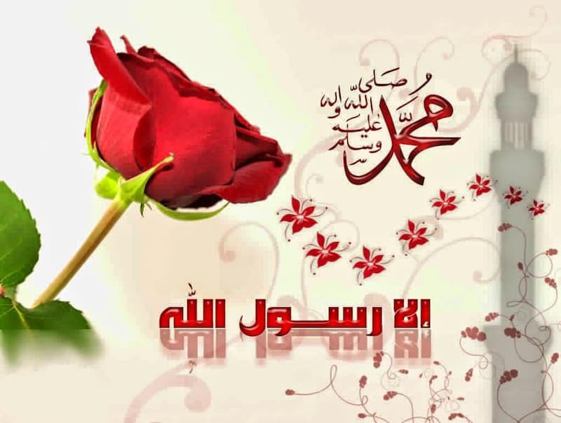 كلمات في حب الرسول | عبارات مميزة في حب الرسول