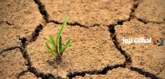 كيف نحمي التربة من الانجراف والتصحر