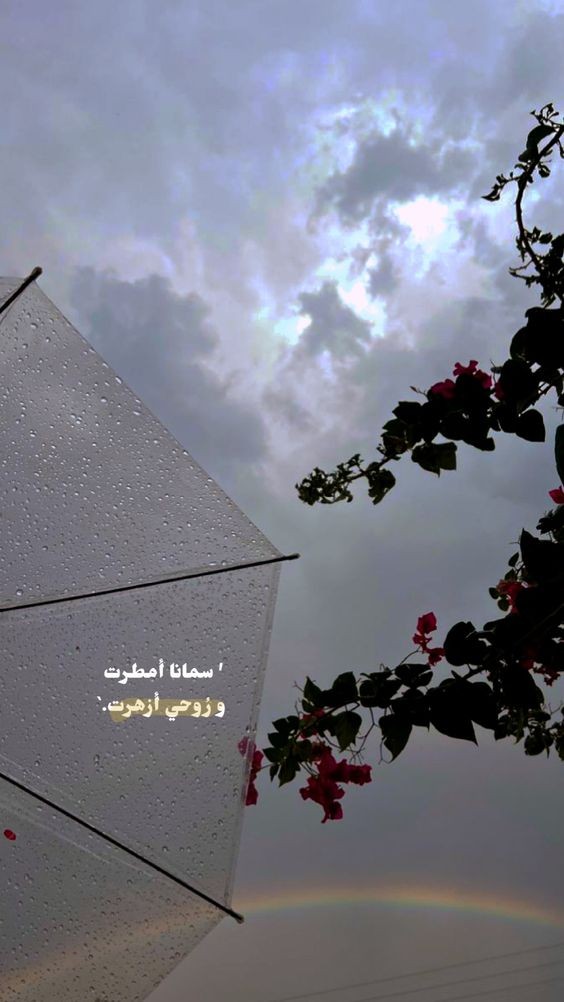 عبارات عن السماء الزرقاء | كلام عن السماء الزرقاء تويتر
