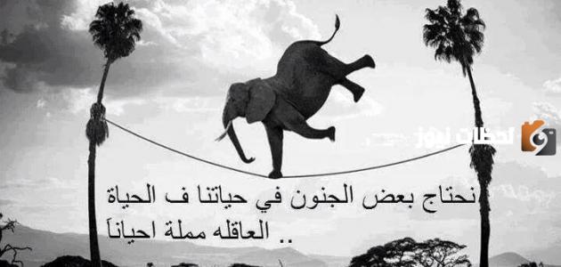 أجمل كلمات في الحياة