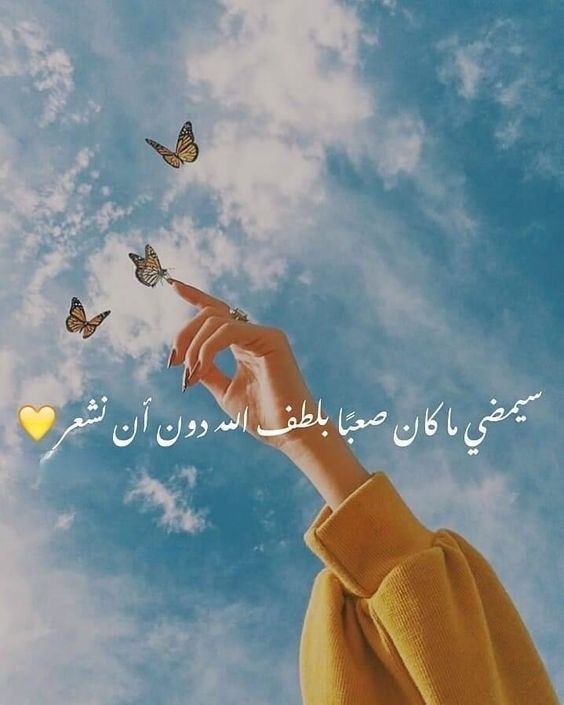 عبارات خواطر جميلة | خواطر عبارات جميلة عن الحياة والامل