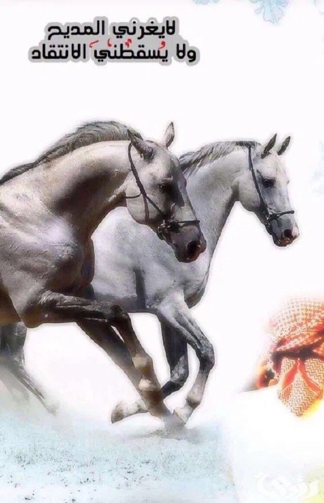 أجمل ما قيل عن الخيل | اجمل ما قيل في وصف الخيل العربي الاصيل؟