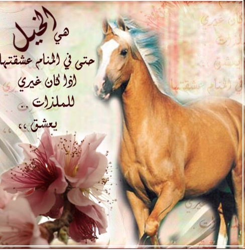 أجمل ما قيل عن الخيل | اجمل ما قيل في وصف الخيل العربي الاصيل؟