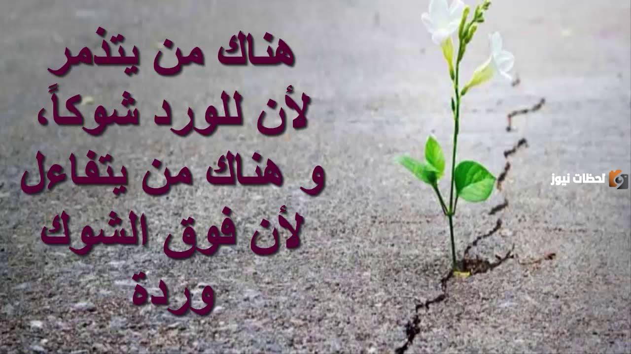 كلمات عن التفاؤل والأمل | عبارات عن التفاؤل