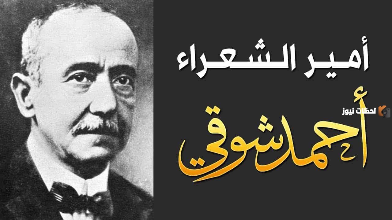 نبذة عن قصيدة سنون تعاد ودهر يعيد
