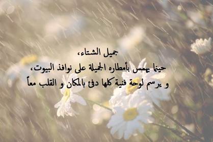 كلام جميل عن الشتاء والحب تويتر