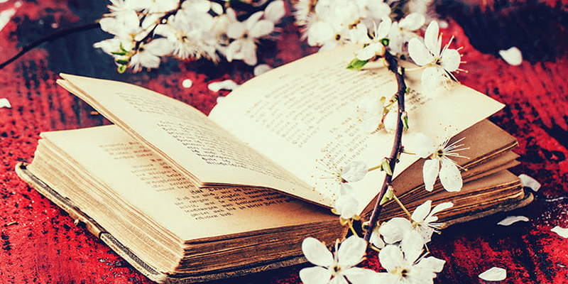 أجمل حكمة في العالم بالانجليزي