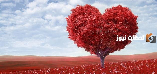 أجمل غزل في العيون | غزل في الحبيبة