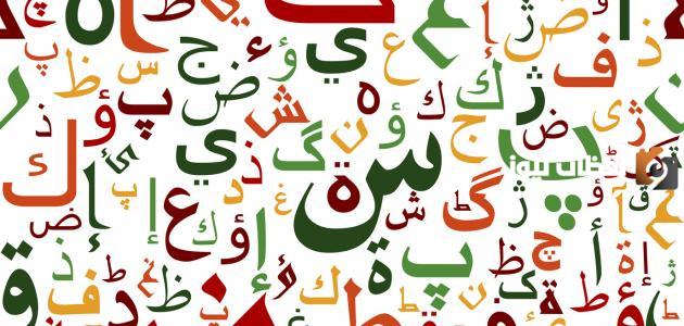 أشعار عن اللغة العربية | أجمل ما قيل في اللغة العربية