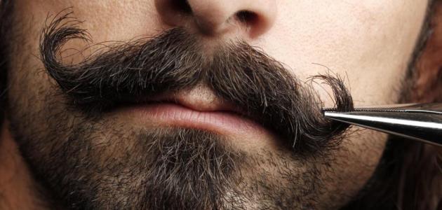 أقوال في الرجولة والشجاعة | أجمل العبارات في الشجاعة والشهامة