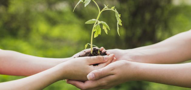 أقوال وحكم عن عمل الخير | امثال وحكم شعبيه عن فعل الخير