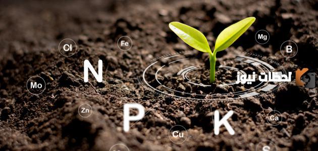 أهمية النيتروجين للنبات