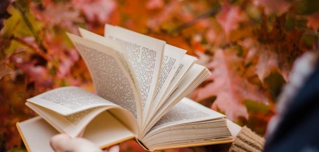 اجمل عبارات محمود درويش عن الوطن