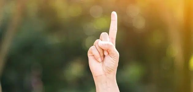 الاستعانة الجائزة هي التي تكون بالحي القادر الحاضر في المباحات