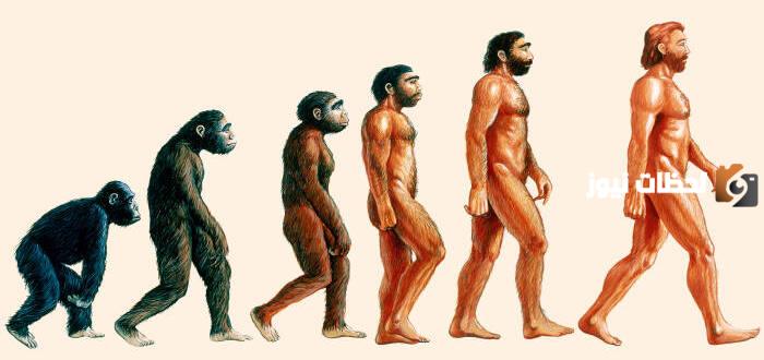 تصنيف الإنسان في علم الأحياء