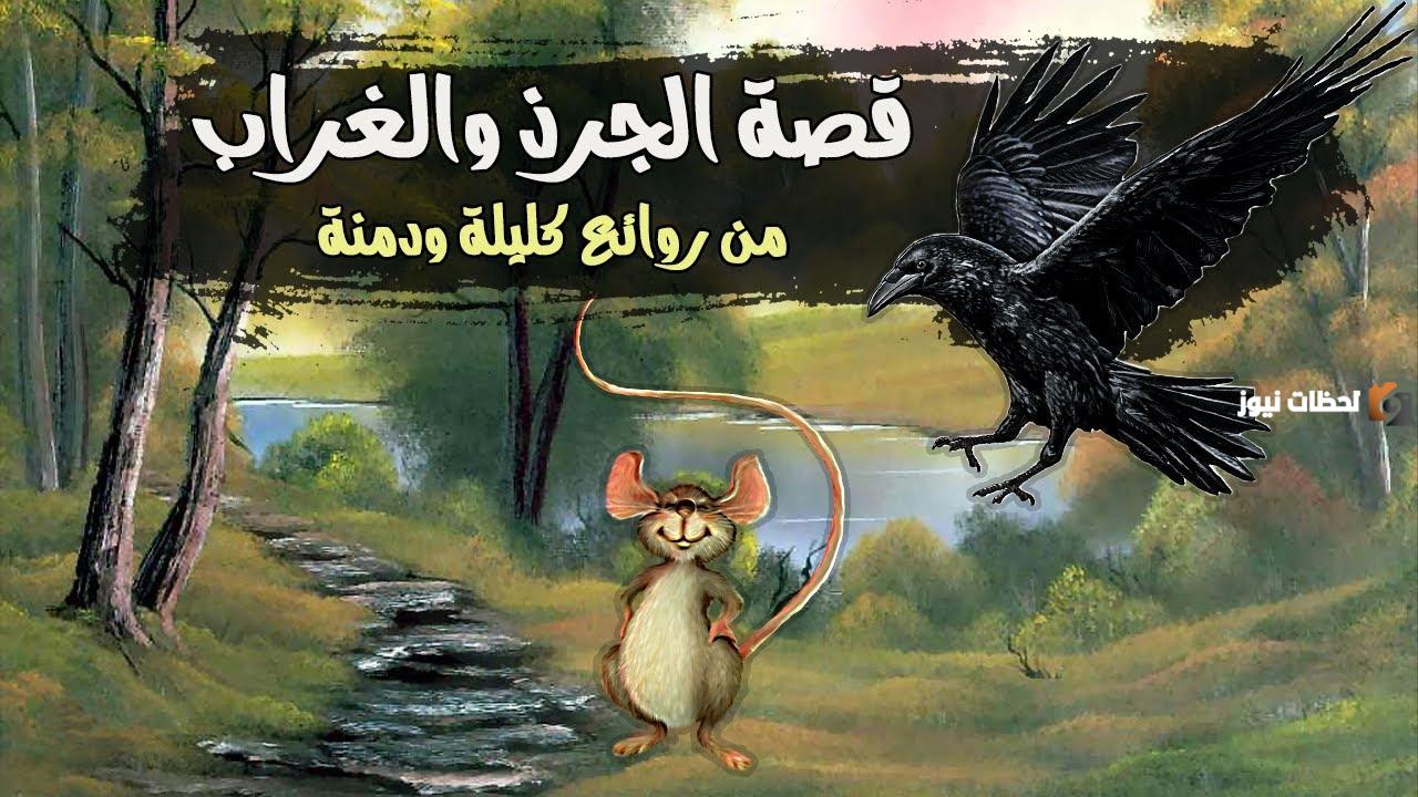 تلخيص قصة الجرذ والسنور من كتاب كليلة ودمنة للأطفال تلخيص قصة الجرذ والسنور من كتاب كليلة ودمنة للأطفال