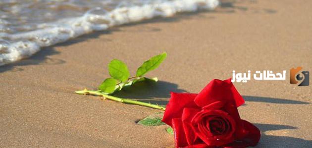 توبيكات حلوة وقصيرة