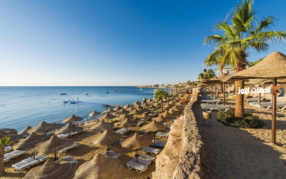 حجز كونكورد السلام شرم الشيخ الرياضي