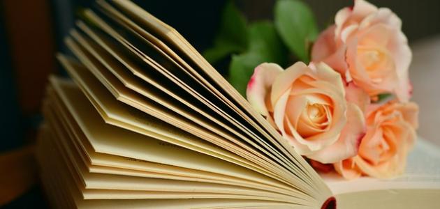 حكم وأمثال عن الكرم .. عبارات مميزة عن الكرم