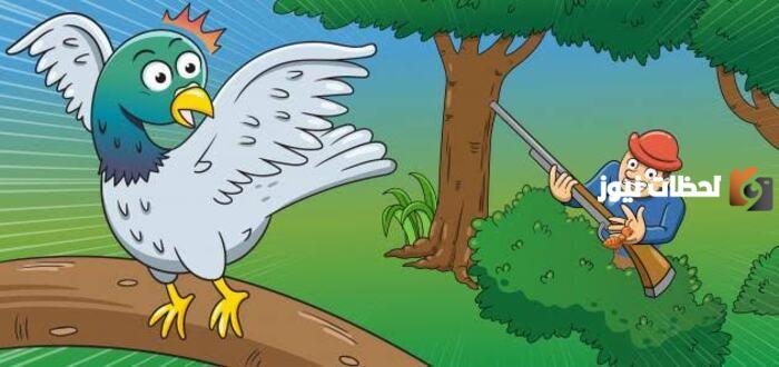 شخصيات قصة الحمامة المطوقة هي بيت العلم