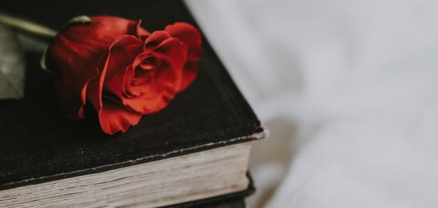 شعر المتنبي عن الحب والغزل مع الشرح