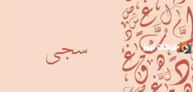 صفات شخصية حاملة اسم سجى