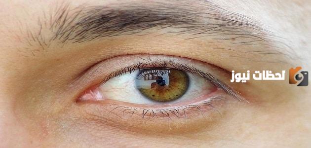 صور لون عيون عسلي مخضر