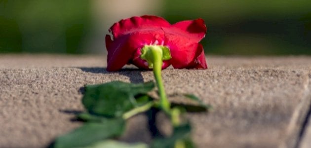 عبارات عن الحب من طرف واحد | كلمات عن قهر الحب