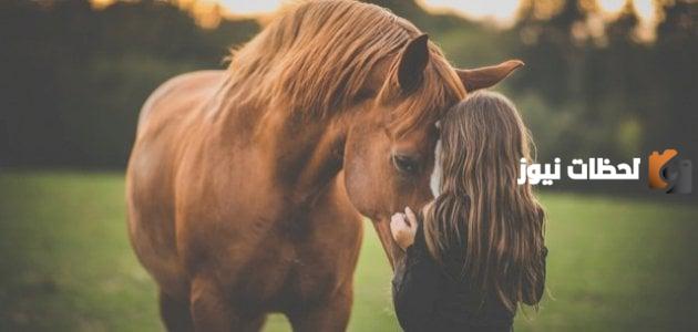 عبارات عن حب الخيل