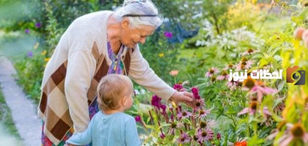 عبارات عن الجدة