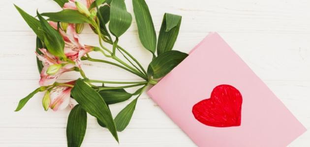 كلام جميل عن التسامح | أجمل ما قيل في التسامح