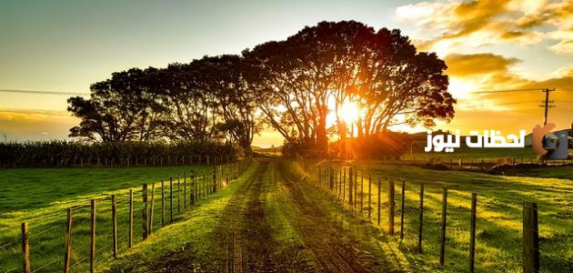 كلام جميل عن غروب الشمس