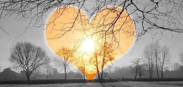 كلام عن الله يريح القلب | عبارات جميلة في حب الله