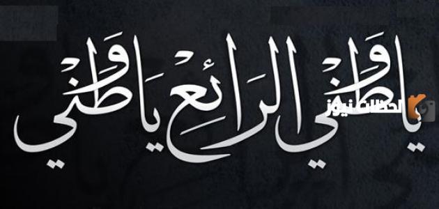 كلمات وطني الحبيب