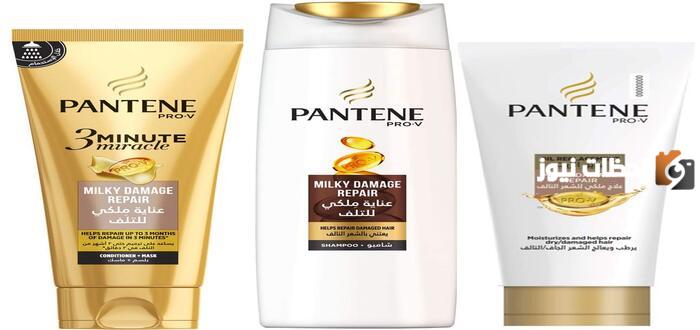 كم سعر شامبو بانتين 200 مل، 600 مل