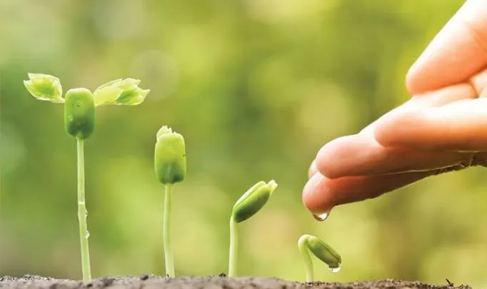 لابد من العمل الصالح مع الإيمان للنجاة من الهلاك