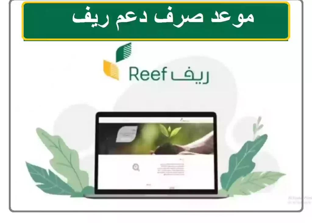 متى ينزل دعم ريف لشهر يناير 2025 ورابط التسجيل في الدعم الريفي