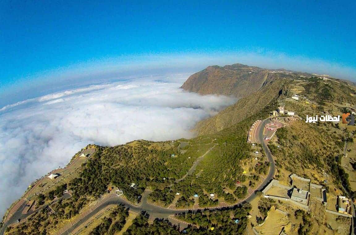 معلومات عن مدينة الضباب في السعودية