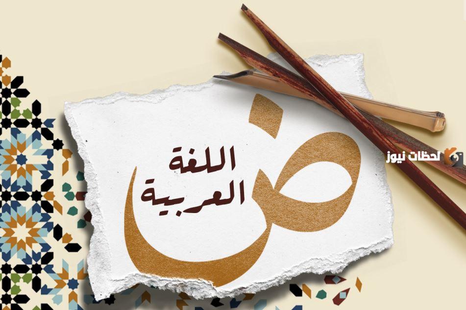 الفرق بين النص الوظيفي والنص المسترسل في اللغة العربية