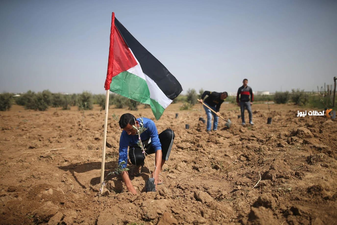 بحث عن يوم الأرض .. معلومات عن يوم الأرض الفلسطيني