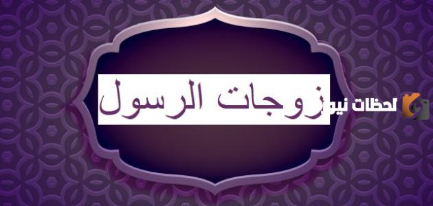 مبدأ تعدد زوجات الرسول