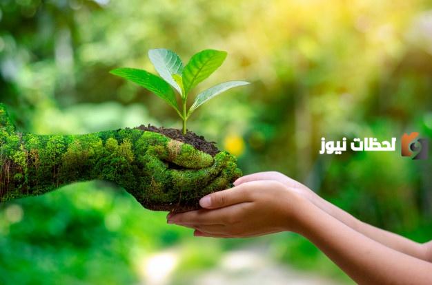 تعريف العشيرة الإحيائية والعناصر الأساسية للمنظومة البيئية