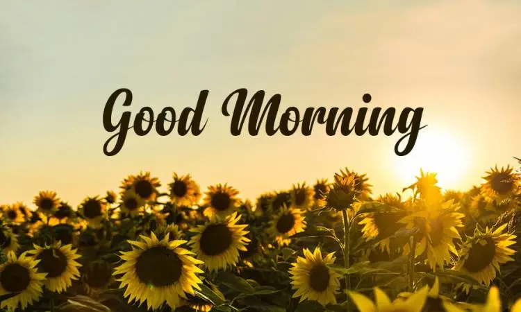 عبارات الرد على صباح الخير بمختلف اللغات بالانجليزي