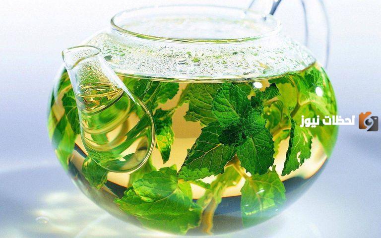 علاج المخاط الاخضر من الانف بالاعشاب للتخلص من الاحتقان