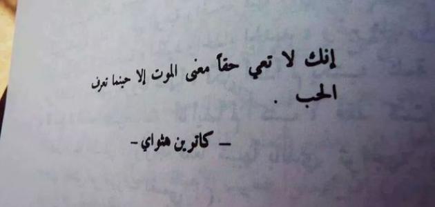 كلام جميل عن الحب الصادق2