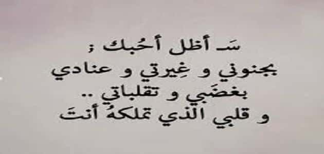 كلام جميل عن الحب الصادق11